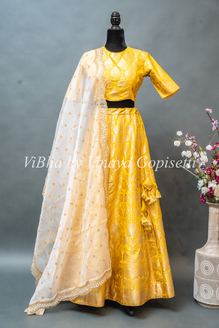 Yellow and White Banarasi Silk Lehenga With White Dupatta