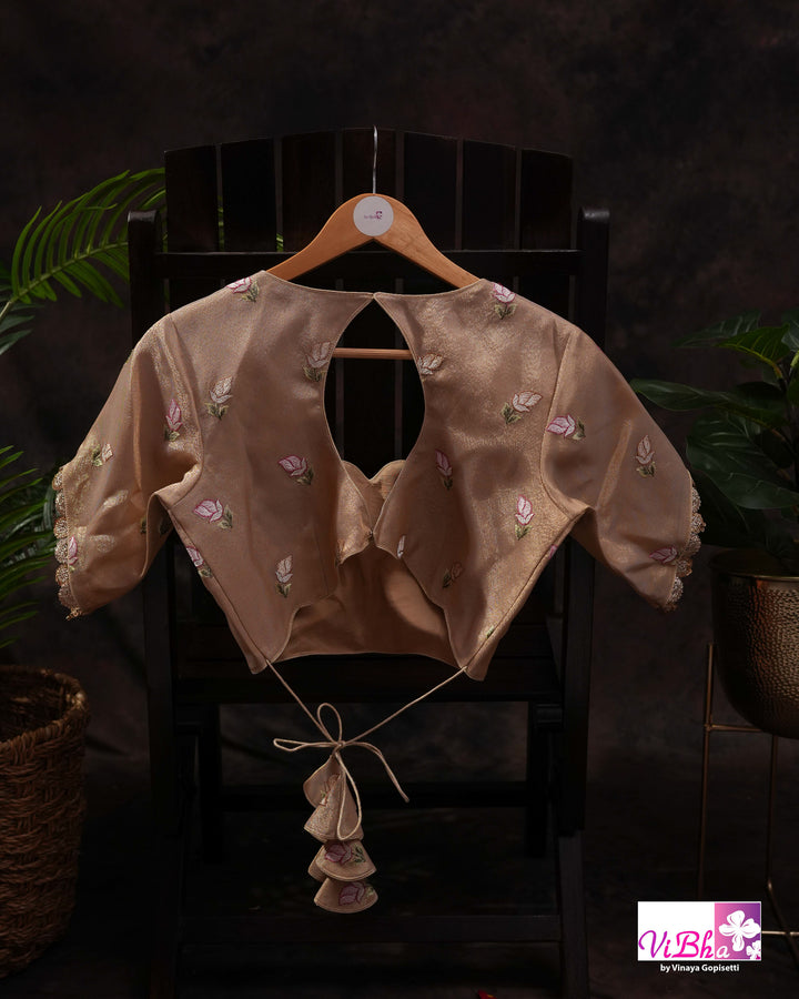 Brown fancy banarasi with embroidered border
