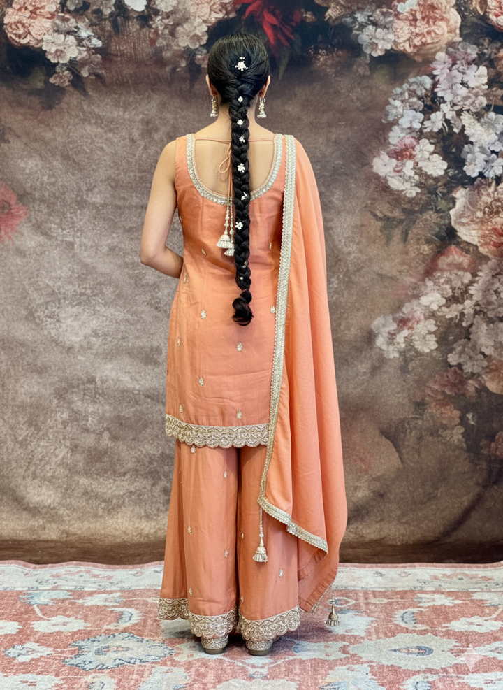Peach Tissue Embroidered Sharara Set