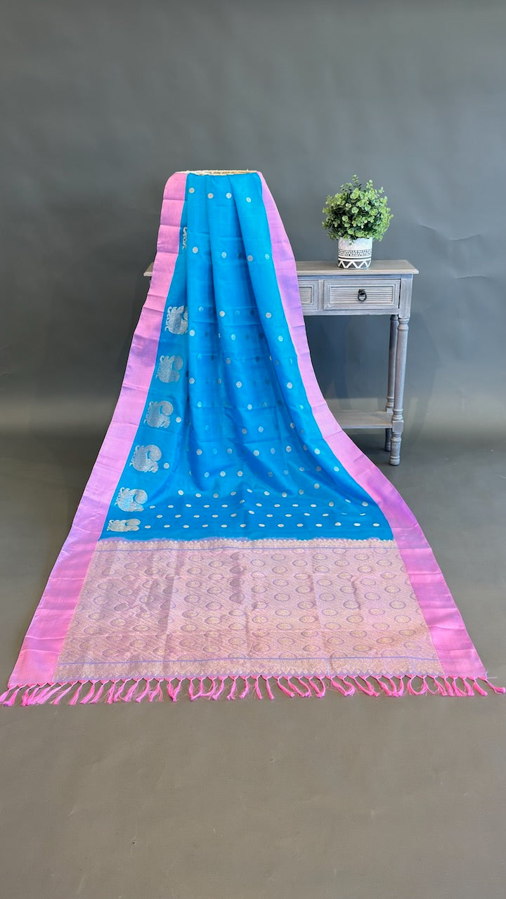 Sky blue and Lilac Venkatagiri Silk Saree And Blouse