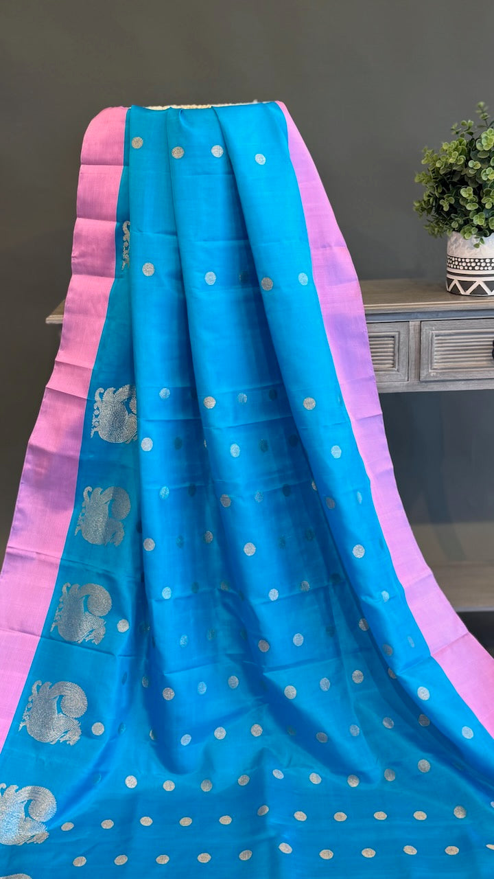 Sky blue and Lilac Venkatagiri Silk Saree And Blouse