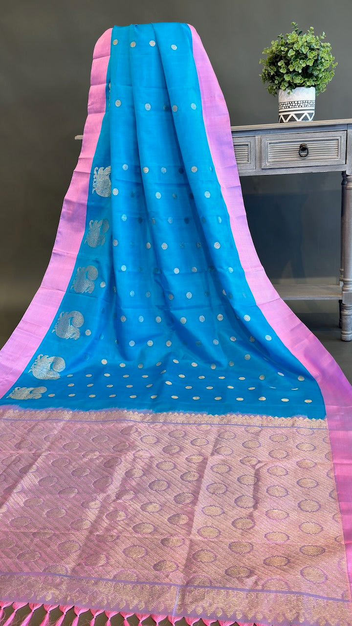 Sky blue and Lilac Venkatagiri Silk Saree And Blouse